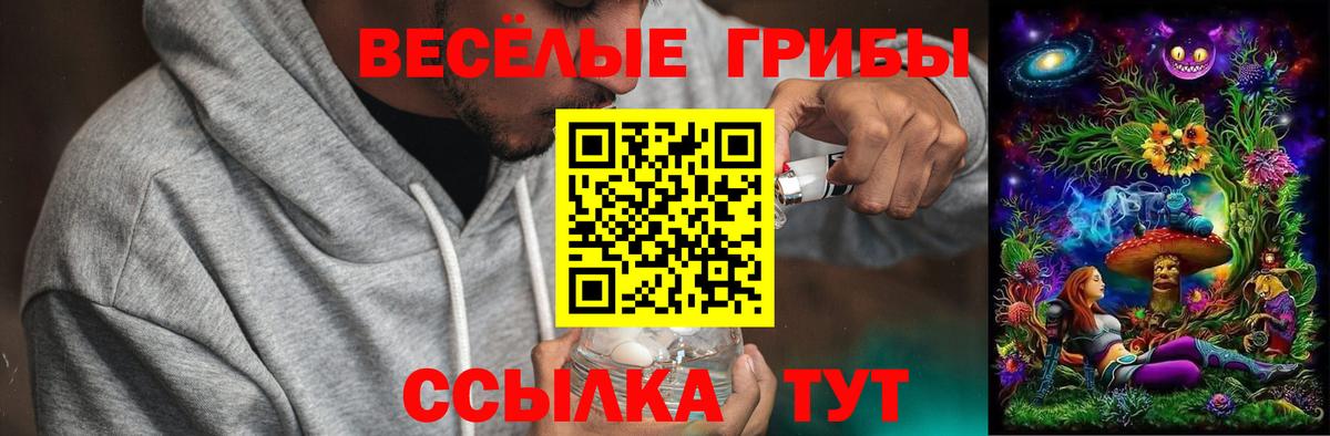 Карталы  где купить наркоту  Вход с VPN  Псилоцибиновые грибы ЛСД 