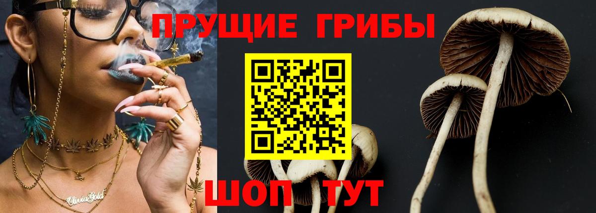 Псилоцибиновые грибы Psilocybine cubensis Карталы